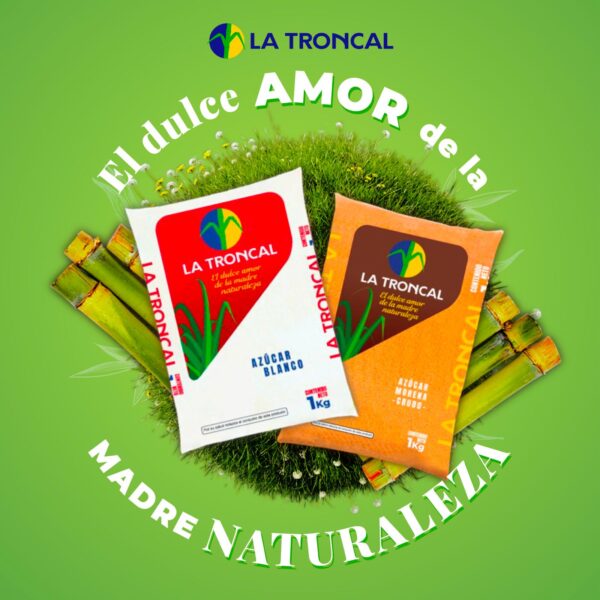 AZUCAR TRONCAL BLANCA Y MORENA